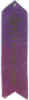 cprib2.jpg (31164 bytes)