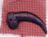 resxtooth.jpg (35991 bytes)
